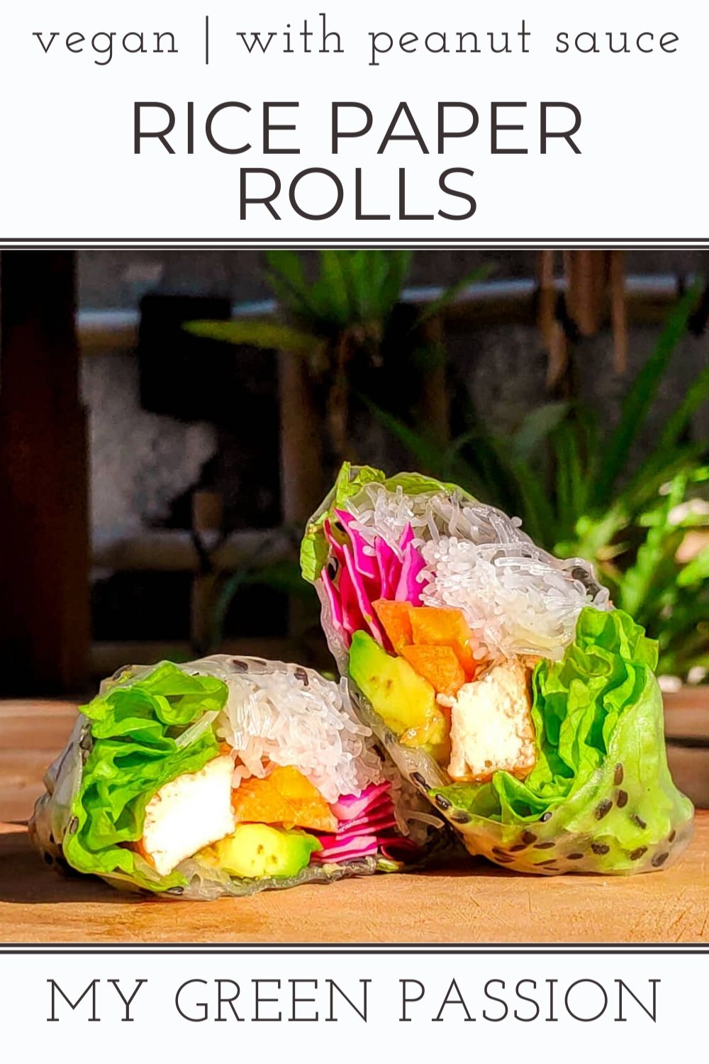 vegan summer rolls rainbow rice paper vegan with peanut sauce plant-based