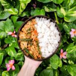sayur kare indonesian vegetable curry