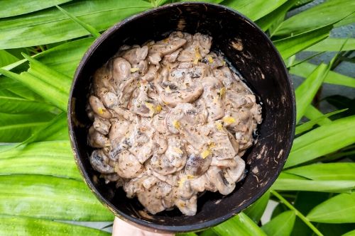 vegan mushroom stroganoff plant-based gluten-free easy to make 30 minute recipe (2)