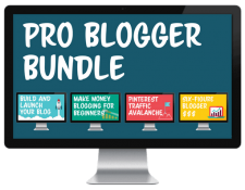 create and go pro blogger bundle course